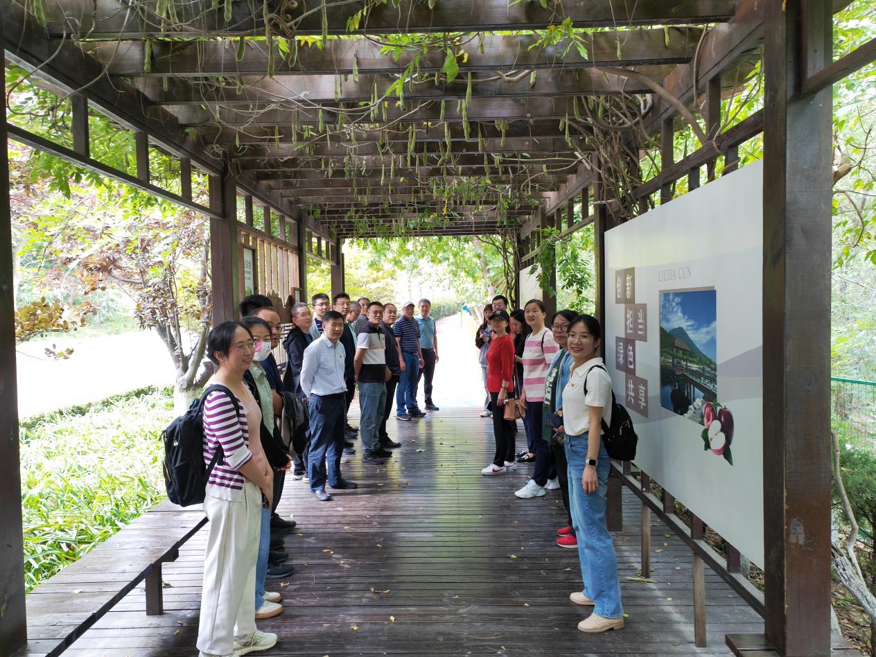 1747395072189032426.jpg 1747395072189032426.jpg